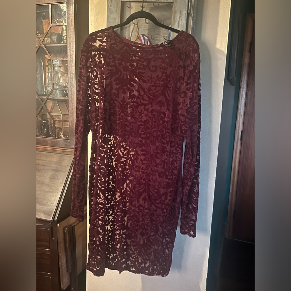 Victorian goth velvety texture sheer dress